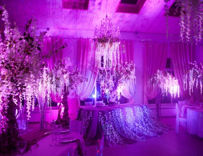 Банкетные залы - Корпоративным гостям - Санаторий Crona Medical & SPA / Крона Спа-отель Бердск