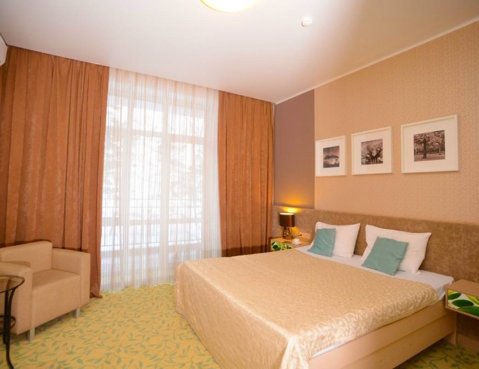 Номер стандарт с 1 двуспальной кроватью (с пансионом) - Санаторий Crona Medical & SPA / Крона Спа-отель Бердск