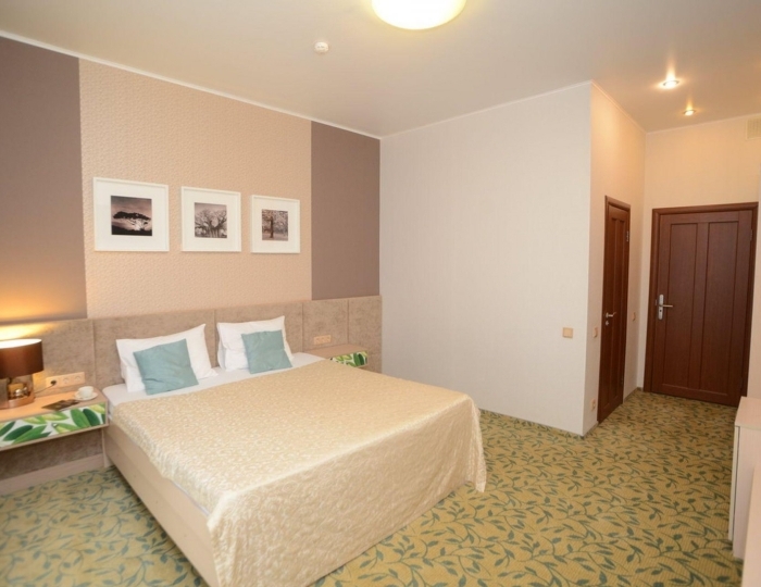 Номер стандарт с 1 двуспальной кроватью (с пансионом) - Санаторий Crona Medical & SPA / Крона Спа-отель Бердск