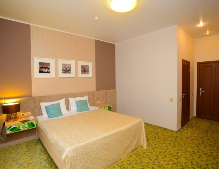 Номер стандарт с 1 двуспальной кроватью (с пансионом) - Санаторий Crona Medical & SPA / Крона Спа-отель Бердск