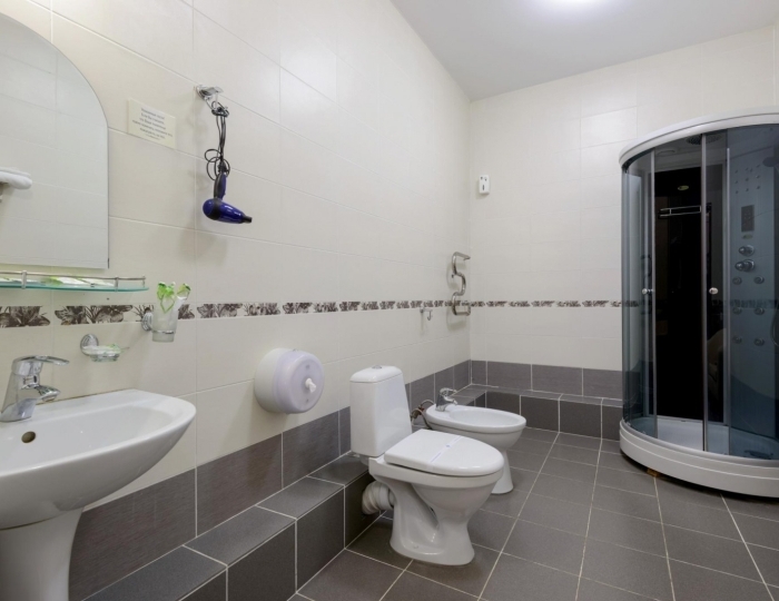 Номер полулюкс с 1 двуспальной кроватью (с пансионом) - Санаторий Crona Medical & SPA / Крона Спа-отель Бердск