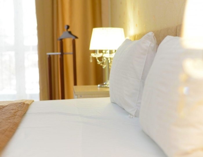 Номер люкс (с пансионом) - Санаторий Crona Medical & SPA / Крона Спа-отель Бердск